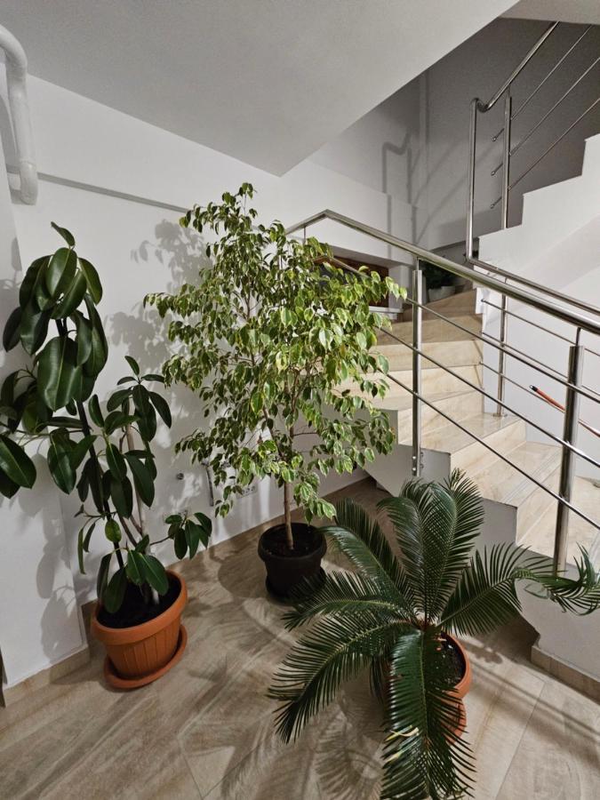 Didi Apartament 크라이오바 외부 사진