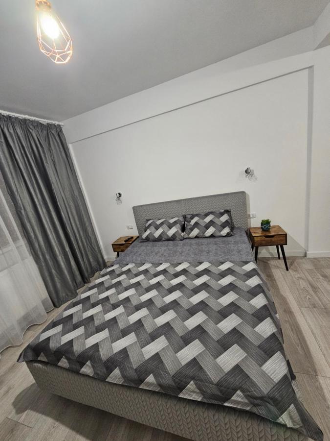 Didi Apartament 크라이오바 외부 사진