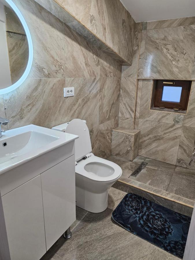 Didi Apartament 크라이오바 외부 사진