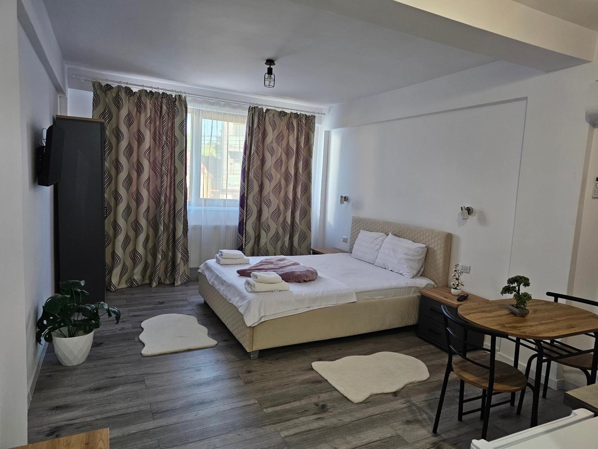 Didi Apartament 크라이오바 객실 사진