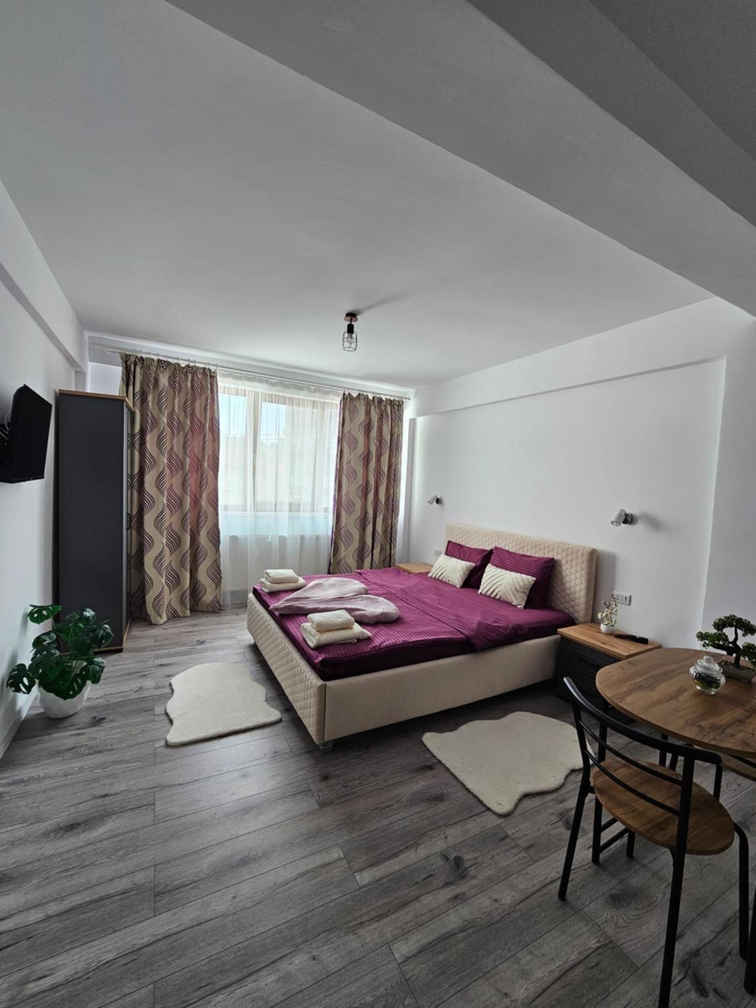 Didi Apartament 크라이오바 외부 사진